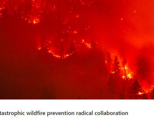 Prometheus on Catastrophic Wildfires Prevention Collaboration by CrowdDoing